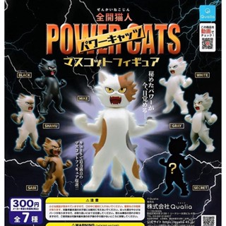 กาชาปองแมว พาวเวอร์แคท / Gashapon Power Cats