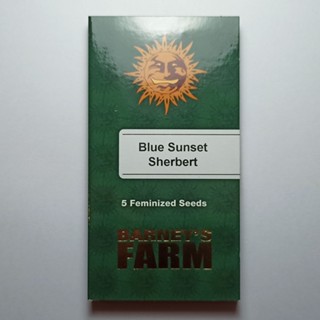 Barneys farm Blue Sunset Sherbert 5 feminized cannabis seeds