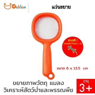 Deklen Magnifying glass แว่นขยาย ขยายภาพของวัตถุ ศึกษาแมลง วิเคราะห์สัตว์ป่าและพรรณพืช อุปกรณ์วิทยาศาสตร์