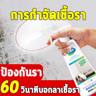 กำจัดโรคราน้ำค้างอย่างเร็ว 500ml ยากำจัดเชื้อรา สเปรย์กำจัดเชื้อรา กำจัดเชื้อรา ฆ่าเชื้อรา คราบเชื้อรา น้ำยาฆ่าเชื้อรา