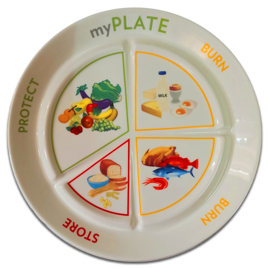 Myplate ageloc TR90 NUSKIN