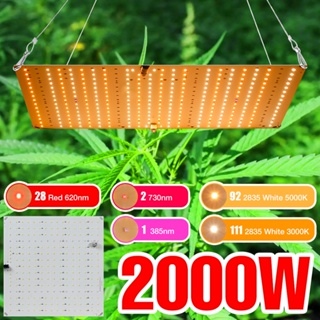 220V Full Spectrum LED Grow Light 2000W ไฟปลุกต้นไม้ ไฟช่วยต้นไม้โตเร็ว แสงขาว แสงธรรมชาติ มีสวิตช์ปิดเปิด สายไฟยาว1.5โมต