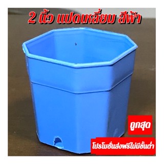 กระถาง 2นิ้ว แปดเหลี่ยม 2นิ้ว สีเหลี่ยม สีฟ้า โปร 100 ใบ 200ใบ 500ใบ ส่งฟรี