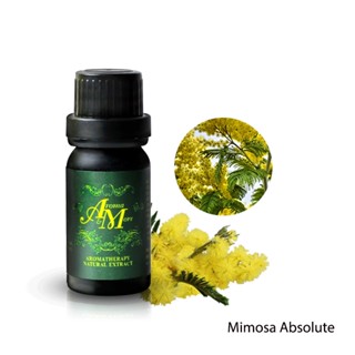 Aroma&amp;More  Mimosa Absolute 100% Pure Essential oil India ,น้ำมันหอมระเหยมิโมซ่า แอปโซลูท 100% อินเดีย 10/30ML