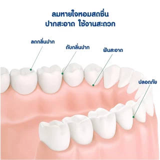 Dogegg🐶มีพร้อมส่ง น้ำยาบ้วนปากแบบพกพา ขนา11g มีหลายกลิ่น