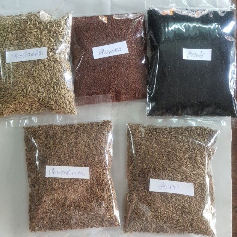 เทียนทั้ง5 ละ50,100กรัม เทียนดำ แดง ขาว ข้าวเปลือก ตาตักแตน