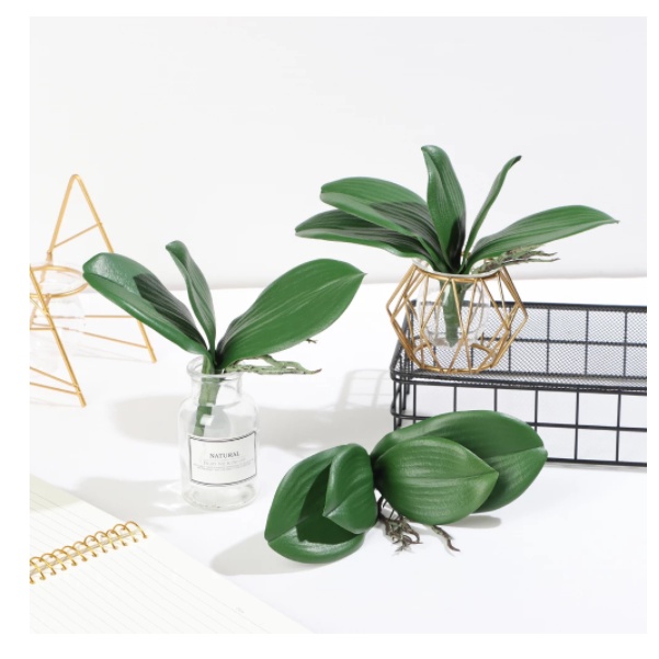 Daun orkid กล้วยไม้ยางออกจาก Bunga Orkid/ใบกล้วยไม้ผีเสื้อเทียม/ดอกไม้กล้วยไม้ประดิษฐ์/Daun Orkid La