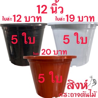 กระถาง  12 นิ้ว 5 ใบ สีดำ สีขาว สีอิฐ สีใส