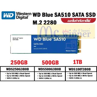 250GB | 500GB | 1TB SSD (เอสเอสดี) WD BLUE SA510 - SATA M.2 2280 3D NAND (มี 3 รุ่น) ประกัน 5 ปี ของแท้