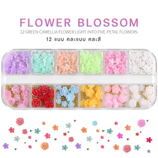 พร้อมส่งทุกวัน ดอกไม้คละสี คละแบบ ตกแต่งเล็บ Flower  Nail DIY ติดเล็บ ตกแต่งเล็บ สไตล์เกาหลี