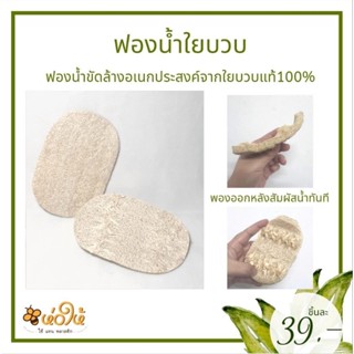 ฟองน้ำใยบวบอเนกประสงค์ ผลิตจากใยบวบธรรมชาติ100%