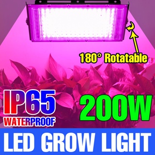 โคมไฟเร่งการเจริญเติบโตของพืช สเปกตรัม LED AC220V พร้อมสวิตช์เปิด ปิด สําหรับเรือนกระจก ไฮโดรโปนิก 200W