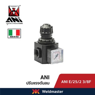 ANI E/25/2 3/8F ปรับแรงดันลม Compressed air