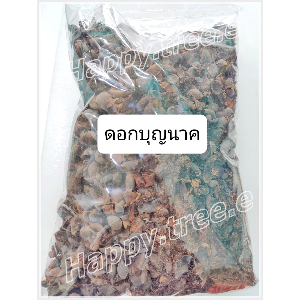 บุญนาค ดอกบุญนาคแห้งอย่างดี ดอกบุญนาคแห้ง