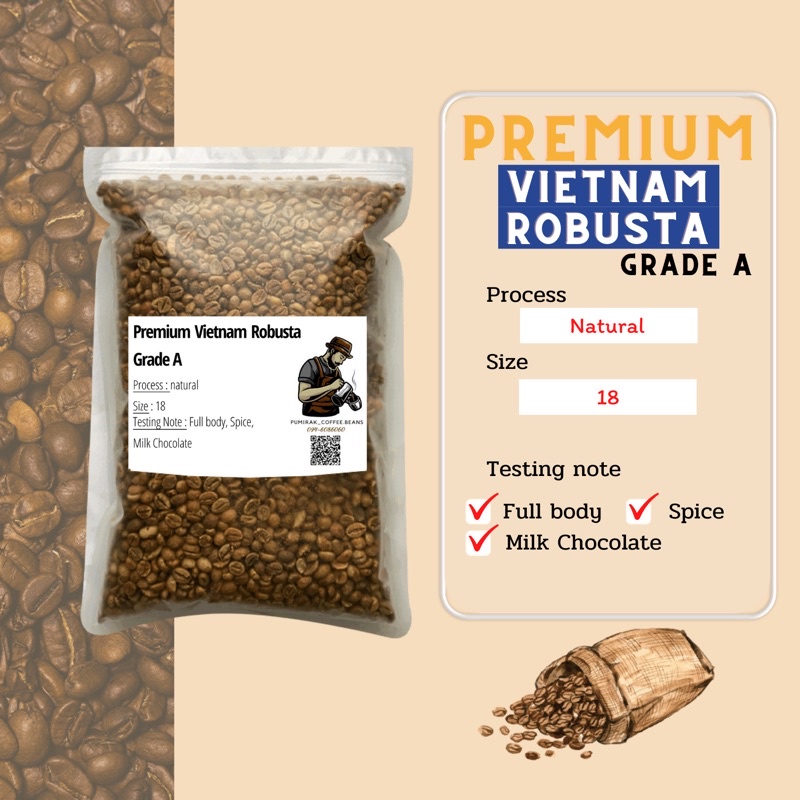   ส่งไว แพ็คดี !!   เมล็ดกาแฟดิบ โรบัสต้าเวียดนาม (size18)  Pumirak_Coffee Beans