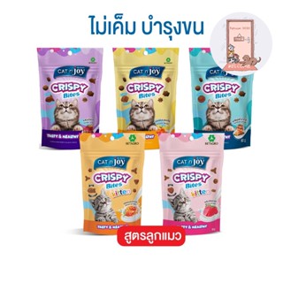 ขนมแมว คริสปี้ไบทส์ แค็ทเอ็นจอย Cat N Joy Crispy Bites 60 g