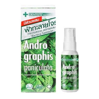 @@สเปรย์ดับกลิ่นปาก ฟ้าทะลายโจร ลดแบคทีเรีย ลดอาการอักเสบ - Dentiste Andrographis Paniculata Mouth Spray 20 Ml.