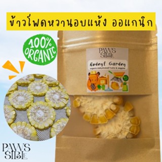 (Paws-sible) ✨ขายดี✨ ข้าวโพดหวานออแกนิกอบแห้ง ข้าวโพดอบแห้ง ขนมแฮมสเตอร์ ขนมแฮมเตอร์ อาหารแฮมเตอร์ อาหารแฮมสเตอร์