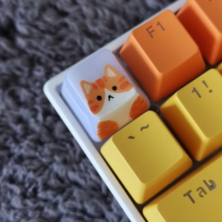 OEM keycap แมวส้ม ลายอานม้า  (สำหรับ mechanical keyboard)