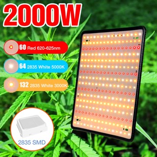 220V Full Spectrum Led Grow Light 1000W Quantum Board GrowLight Hydroponic เรือนกระจกในร่มเมล็ดดอกไม้โคมไฟ Quantum 1500W 2000W