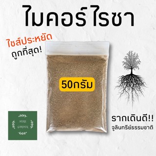 ไมคอร์ไรซา ช่วยการเจริญเติบโตของราก เติมพื้นที่ ปุ๋ย ธรรมชาติ