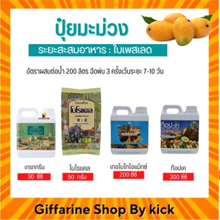 [ส่งฟรี] ปุ๋ย กิฟฟารีน ปุ่ยทางใบ ปุ๋ยมะม่วง ระยะสะสมอาหาร ใบเพสลาด Giffarine
