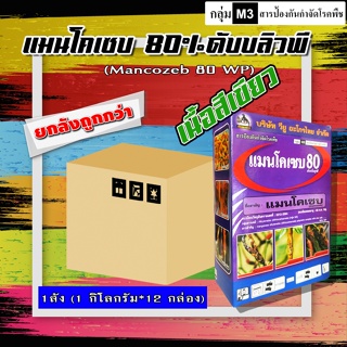 ** ขายยกลัง ** แมนโคเซบ( กล่องม่วง )สารป้องกันและกำจัดเชื้อรา โรคพืชต่าง ๆ ได้มากมาย เช่น โรคแอนแทรคโนส