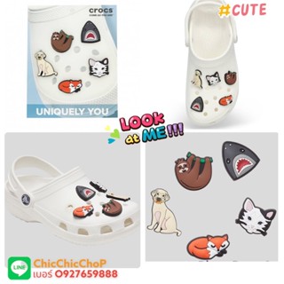 JBS 🌈🌀🔆ตัวติดรองเท้า “ สัตว์ น่ารัก 1.1 “  มีความ แอนนิมอลได้อี๊กกก 👠🌈Shoe charm”  Cute animal 1.1  ” Socute minimal