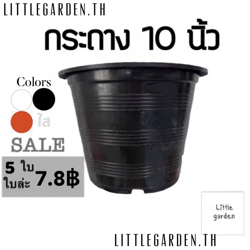 Little กระถางพลาสติก 10 นิ้ว (สีดำเงาA+🖤) (สีขาวออร่าA+🤍)(สีอิฐ🧱)(สีใสA+💎)