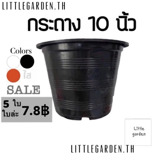 Little กระถางพลาสติก 10 นิ้ว (สีดำเงาA+🖤) (สีขาวออร่าA+🤍)(สีอิฐ🧱)(สีใสA+💎)