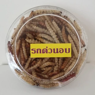 หนอนรถด่วน รถด่วนอบ รถด่วนทอด ของฝากจากเมืองเชียงใหม่ อร่อยถูกใจ รสชาติดั้งเดิมกลมกล่อม