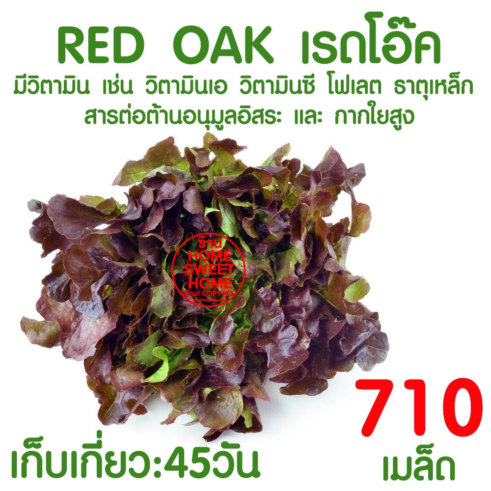 รูปภาพ 7