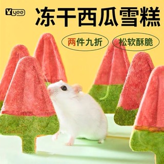 [Exotic land] ไอติมแตงโม 🍉 สำหรับสัตว์