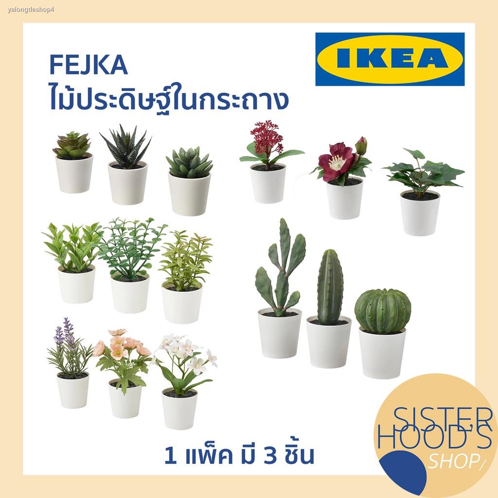 ส่งตรงจากกรุงเทพ[พร้อมส่ง] FEJKA - IKEA ไม้ประดิษฐ์ในกระถาง ต้นไม้ปลอม ต้นไม้กระถาง ใช้ตกแต่งบ้าน ชุดละ 3 ชิ้น
