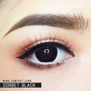 ไม่แถมตลับ Sorbet Black (ตาโต) คอนแทคเลนส์ Wink