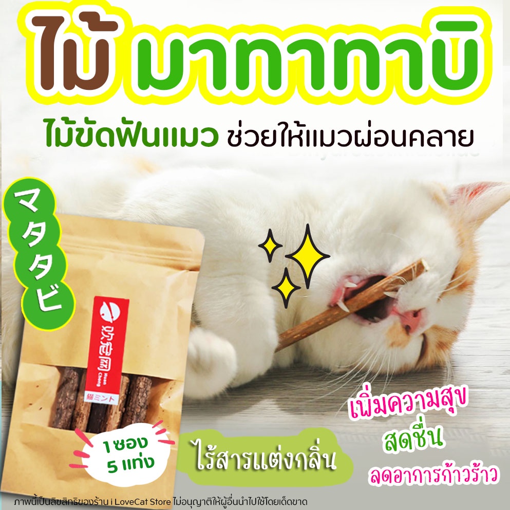 【ส่งทันที】ไม้มาทาทาบิ ออร์แกนิค ไม้ขัดฟัน ช่วยทำให้แมวผ่อนคลายอารมณ์ ลดความเครียด กระตุ้นฟีโรโมนแมว