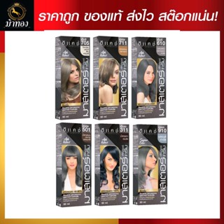 [โทนเทา] Dcash ดีแคช โปรเฟสชันนอล มาสเตอร์ คัลเลอร์ ครีม 60ml. [Ash Tone] Professional Master Color Cream #ย้อมสีผม