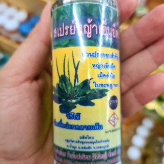 หญ้าเอ็นยืด ชนิดสเปรย์ ขนาด85cc(1ขวด)