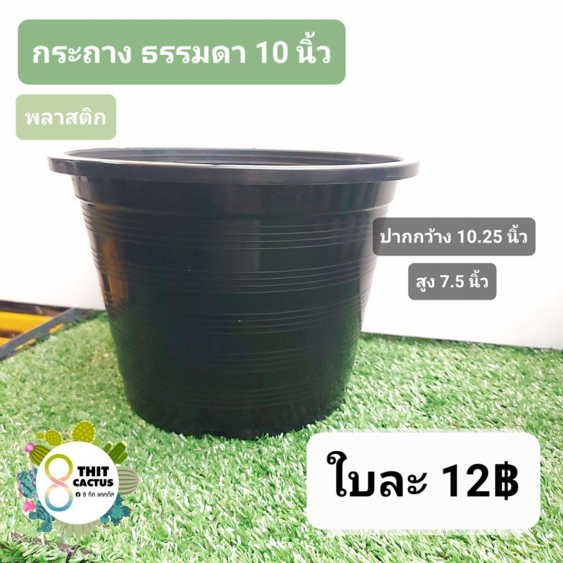 กลมดำ ธรรมดา 10 นิ้ว (10.25นิ้ว) // กระถาง 10 นิ้ว -- กระถางพลาสติก กระถางแคคตัส กระบองเพชร