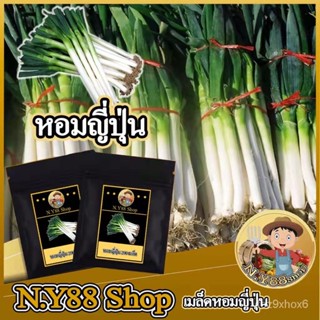 ผู้ผลิตเมล็ดพันธุ์/5แถม1เมล็ดต้นหอมญี่ปุ่น 200เมล็ด เมล็ดพันธุ์แท้ นำเข้า สามารถทำพันธู์ต่อได/อ/เมล็ด ซอง งอก การ JESR