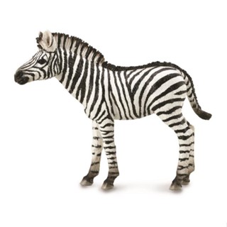 Collecta ม้าลายจําลอง ของแท้ 88850 Little Zebra 2019 สไตล์ใหม่