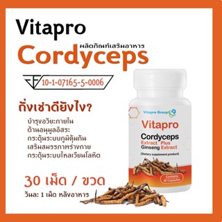 ถั่งเช่า วิตต้าโปร สารสกัดจากถั่งเช่า พลัส สารสกัดจากโสม Cordyceps ระบบไหลเวียนโลหิต ปรับฮอร์์โมน