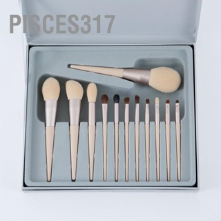 Pisces317 12pcs Makeup Brush Set Concealer Eye Shadows Handle Face Kit for Women Girls