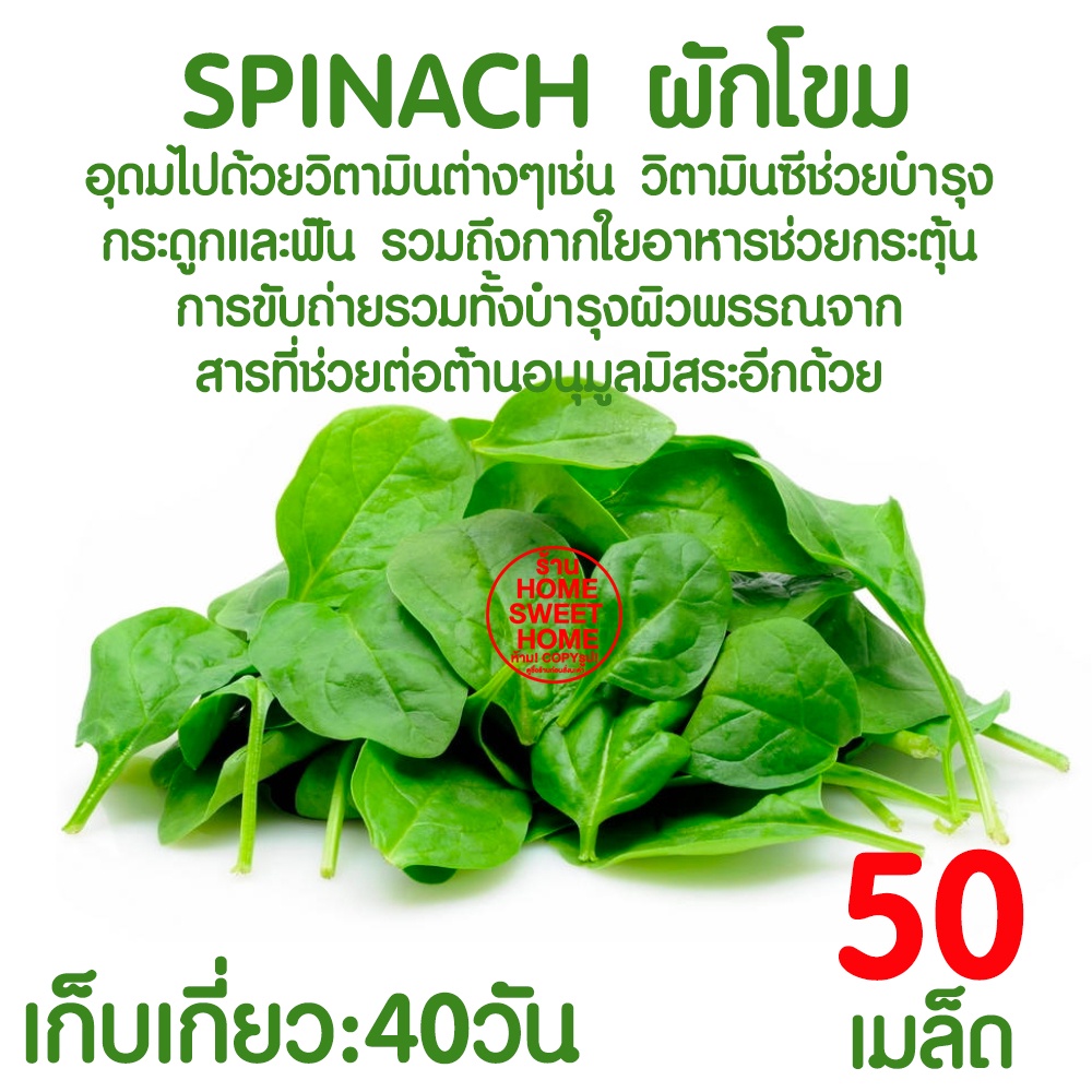 รูปภาพ 5