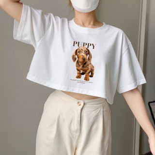 เสื้อลายน้องหมา เสื้อยืด เสื้อครอป เสื้อลายสัตว์ animal น่ารัก เสื้อสกรีนลายหมา โอเวอร์ไซส์ เกาหลี เสื้อสวยๆ แฟชั่น