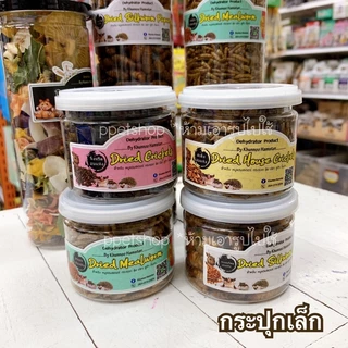 Khunoo Hamster หนอนนกอบแห้ง จิ้งหรีด สะดิ้ง หนอนไหมอบแห้ง ผักผลไม้อบแห้ง สำหรับหนูแฮมสเตอร์ เม่นแคร