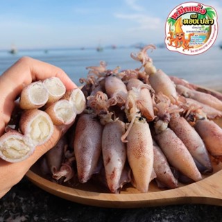 ตอยต้มคัดไข่ แน่นๆ จุกๆ สินค้าตามฤดูกาล หากินยากก