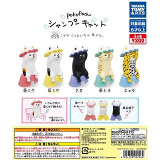 Gashapon Animal Cat Pokefasu Shampoo Figure - กาชาปอง สัตว์ แมว อาบน้ำสระผม ล้างตัวก่อนแช่ออนเซ็น ฟิกเกอร์