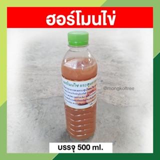 ฮอร์โมนไข่ 500 ml. ฮอร์โมนพืช กระตุ้นให้ต้นไม้ แตกยอด ติดดอก ออกผล ร่งการเจริญเติบโตในผัก