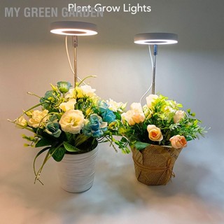 My Green โคมไฟ Led สเปกตรัม Usb สําหรับปลูกต้นไม้ในร่ม